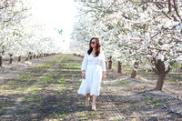 2021:  Cherry Blossom in Fresno