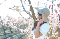 2021:  Cherry Blossom in Fresno