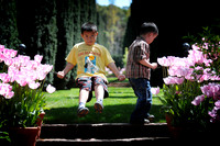 Filoli Garden