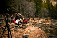 Yosemite National Park